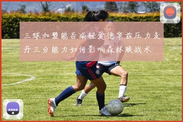 三球加盟能否减轻爱德华兹压力麦丹三分能力如何影响森林狼战术