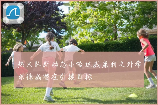 热火队新动态小哈达威康利之外希尔德成潜在引援目标