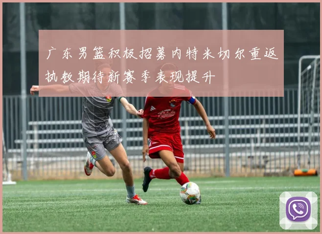 广东男篮积极招募内特米切尔重返执教期待新赛季表现提升